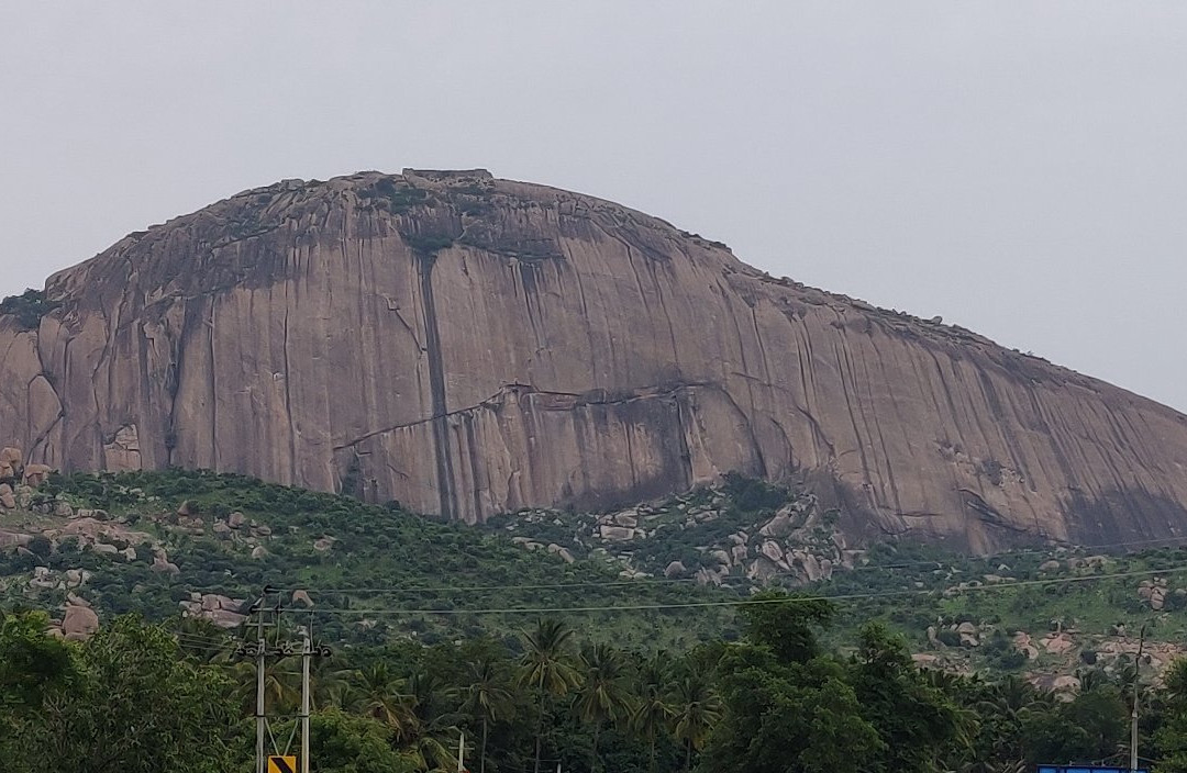 Madhugiri Fort景点图片