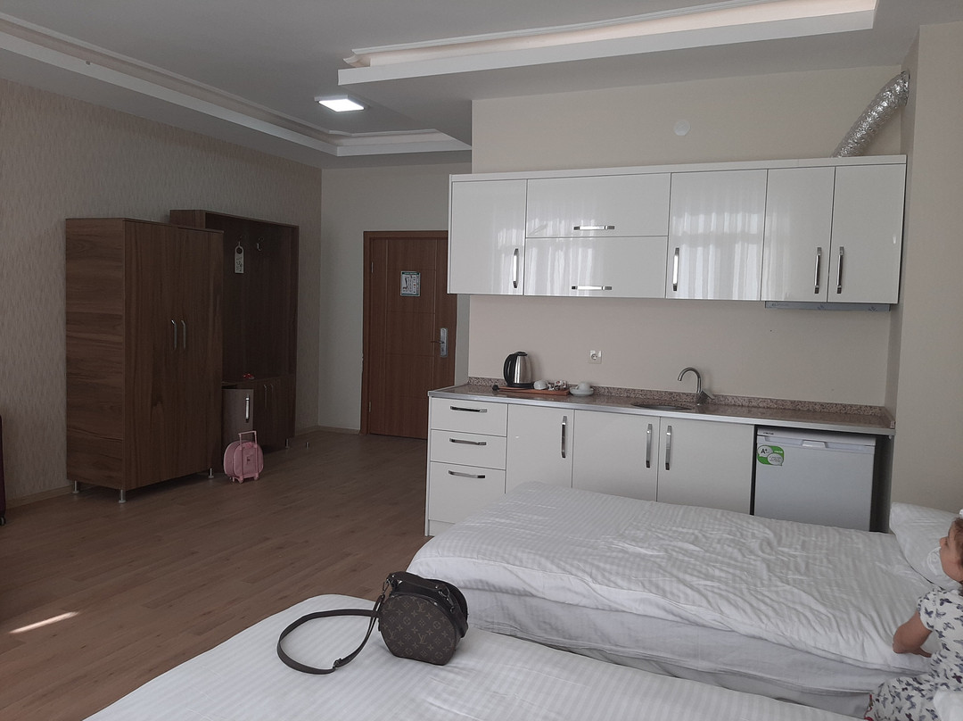 Alp Hotel Apart主图