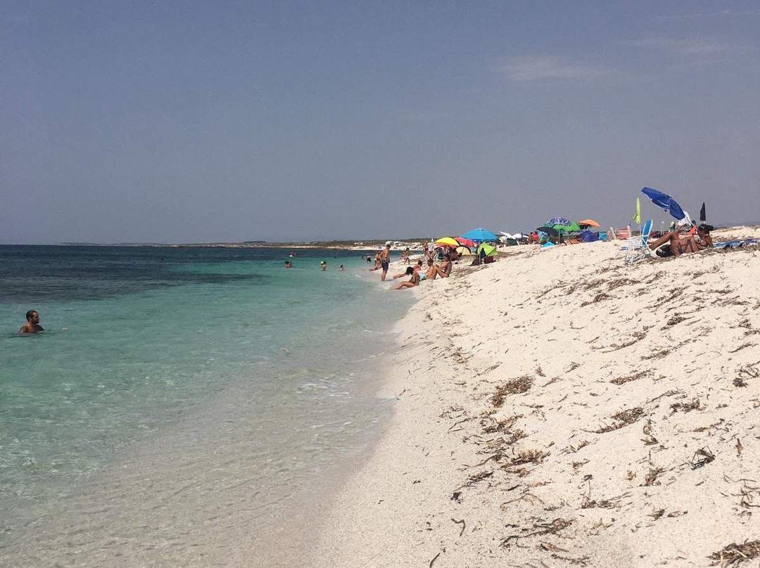 B&B Sa Babbaiola主图