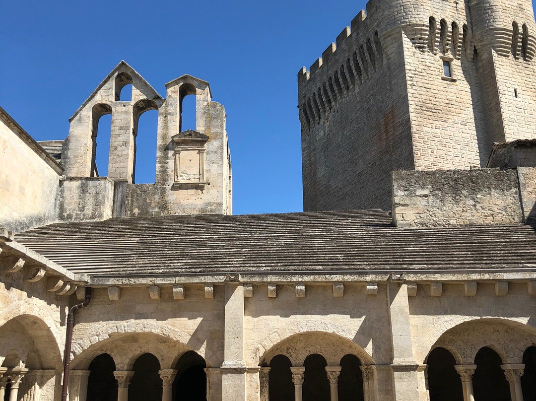 Abbaye de Montmajour景点图片
