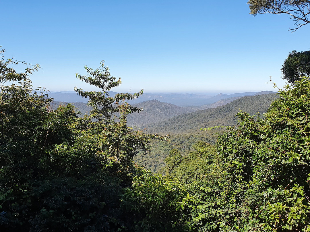 McClellands Lookout景点图片