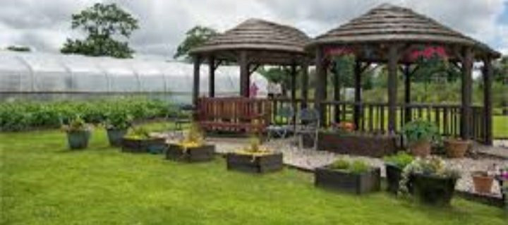 Netherthird Community Garden景点图片