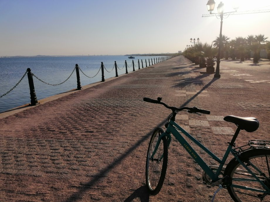 Le Lemon Tour-迦太基必去景点