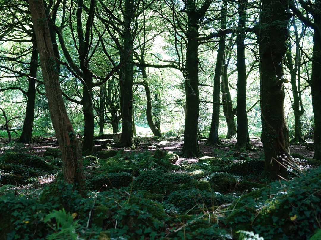 St Breward to Lank Circular Walk-St. Breward必去景点