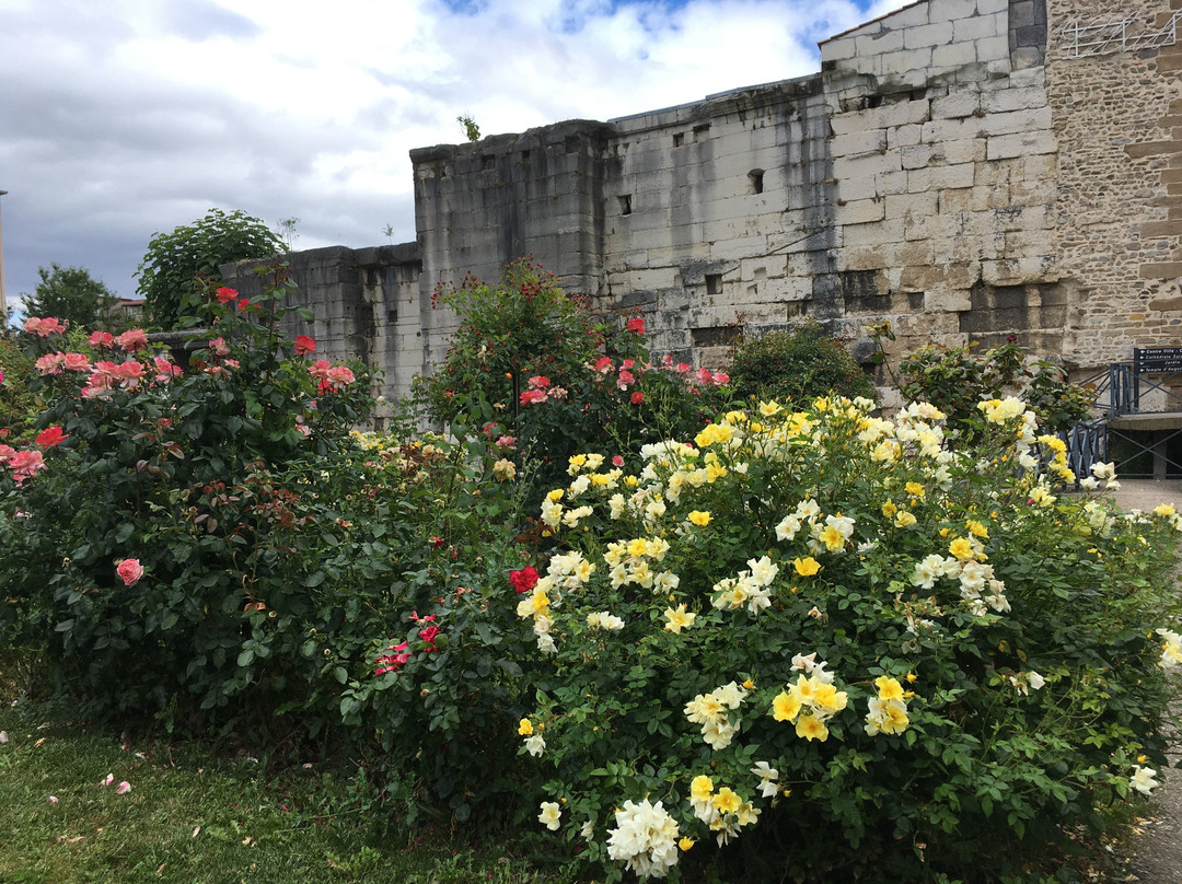 Jardin de Cybèle景点图片