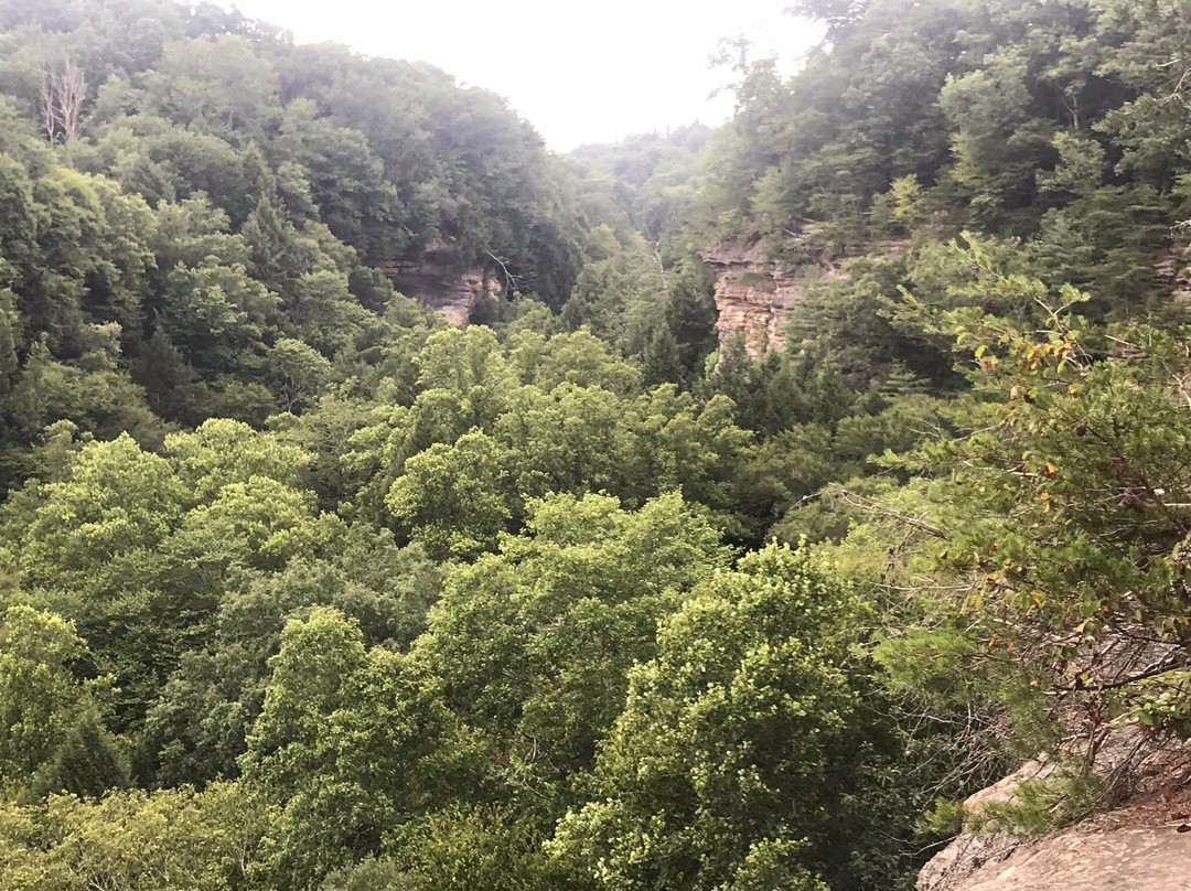 Conkles Hollow State Nature Preserve-Rockbridge必去景点