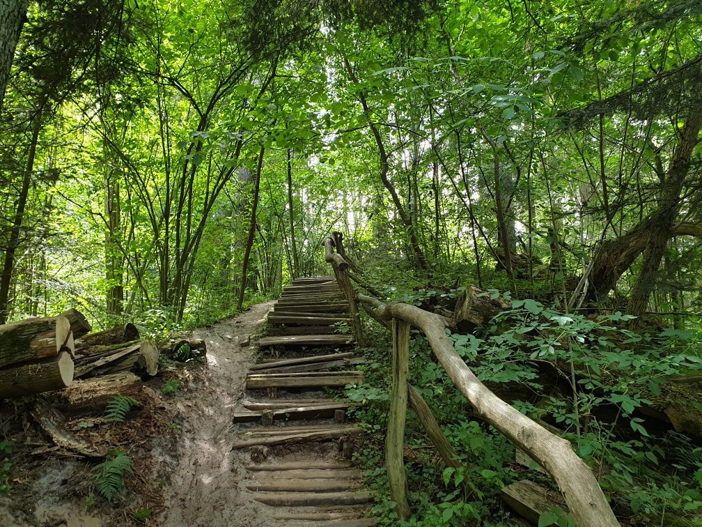 Czartowe Pole Nature Reserve景点图片