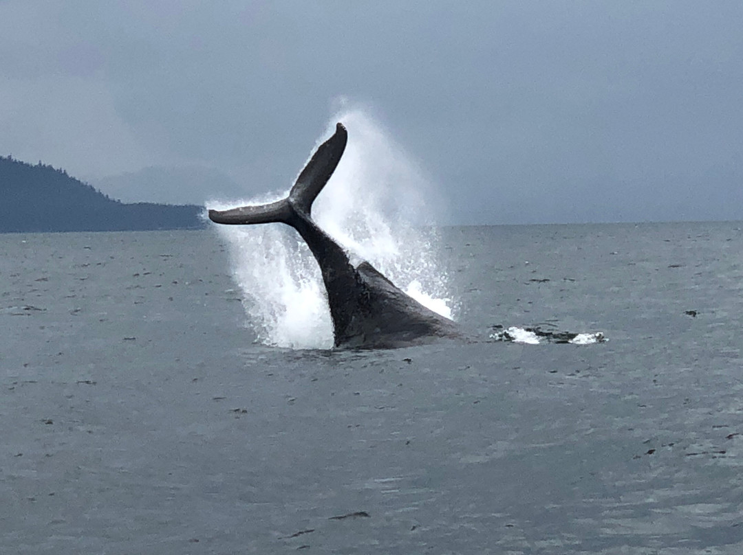 Wooshkeetaan Tours-胡纳必去景点