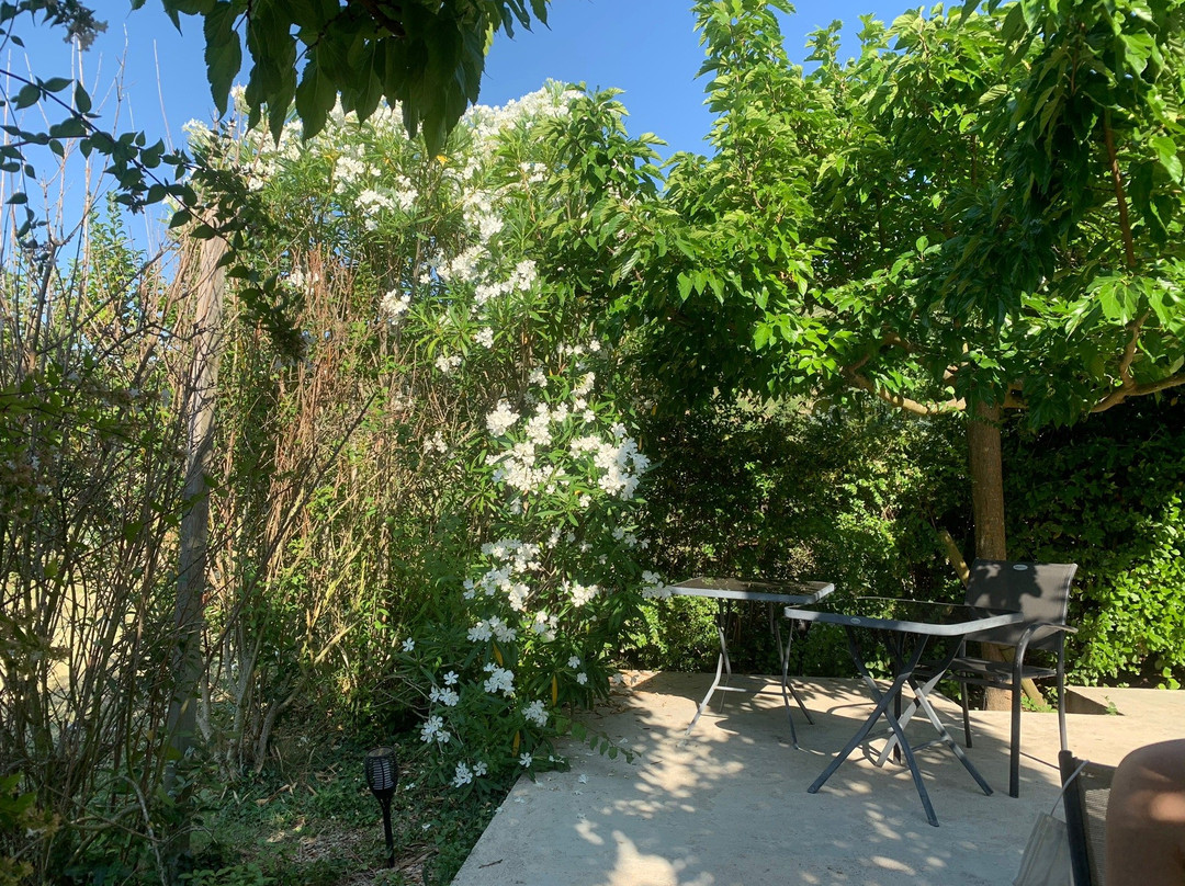 Hotel Le Domaine des Vignes主图