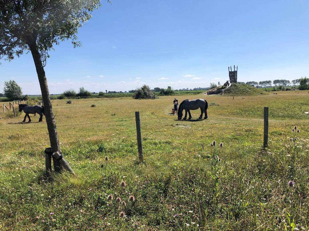 Groese duinen en polders-Groede必去景点