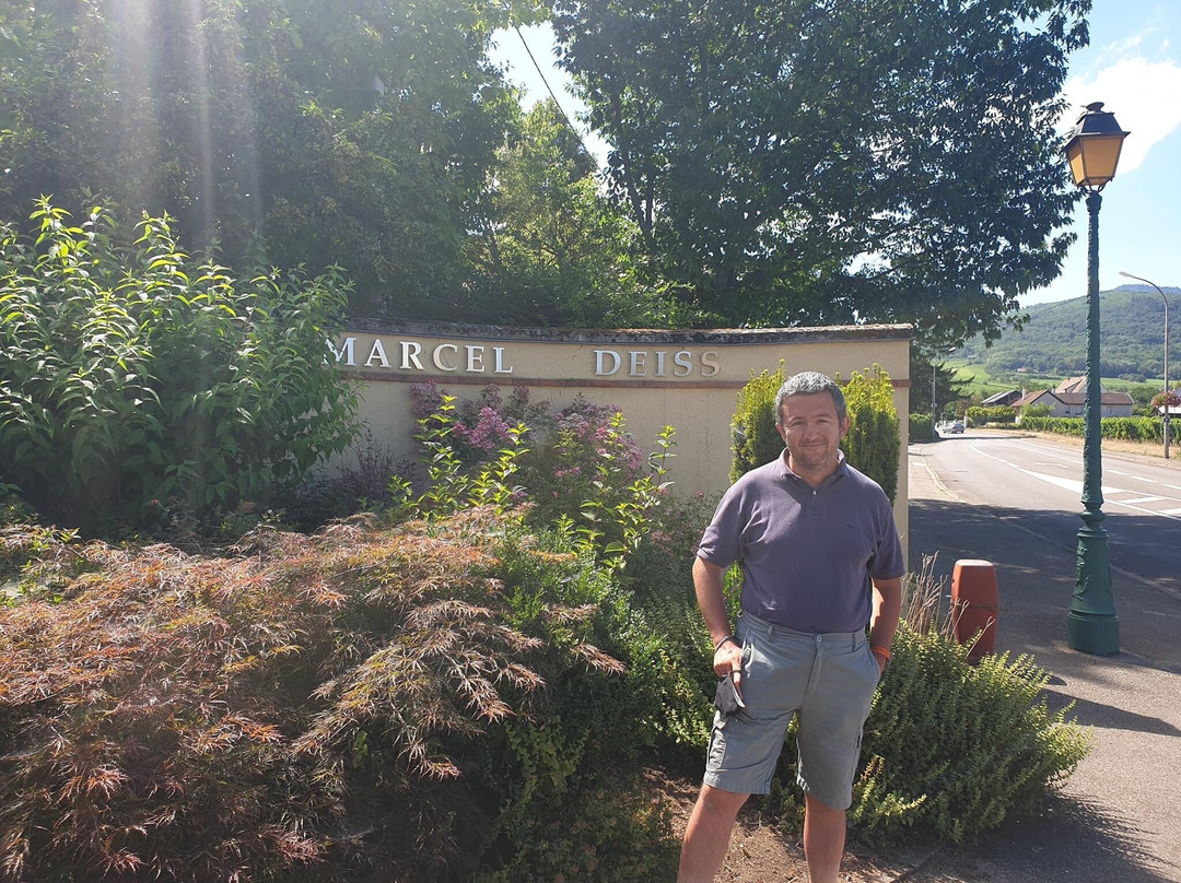 Domaine Marcel Deiss景点图片
