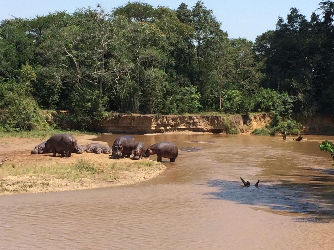 Shaka Tours & Travel Uganda-恩德培必去景点
