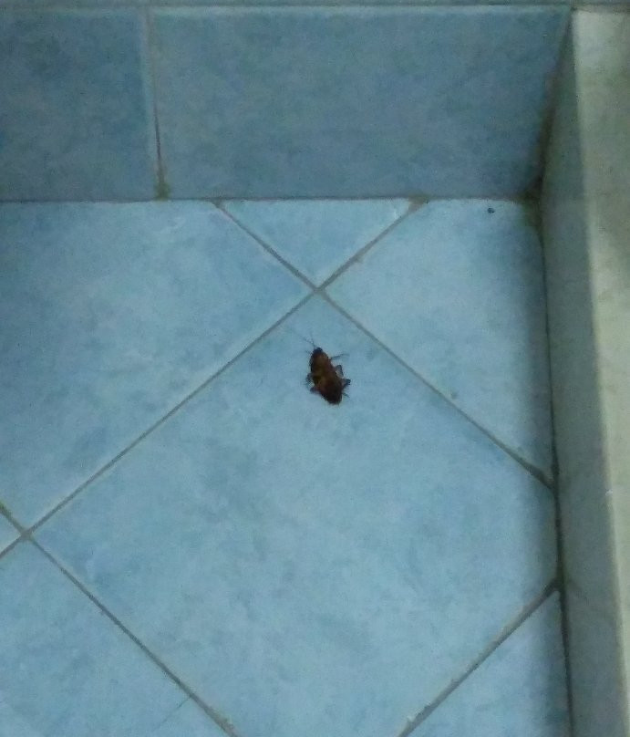 Hotel Villa del Mare主图