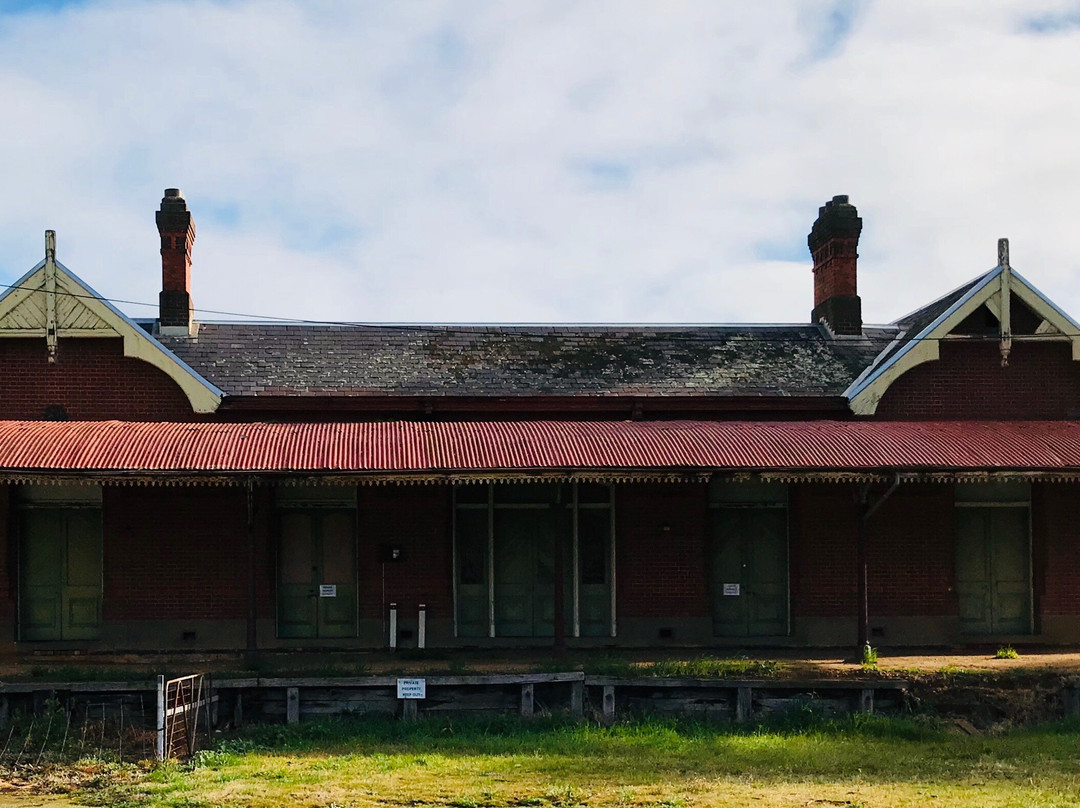 Rupanyup Silo Art-Rupanyup必去景点