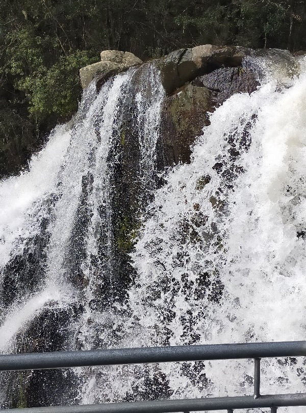 Snobs Creek Falls-Eildon必去景点