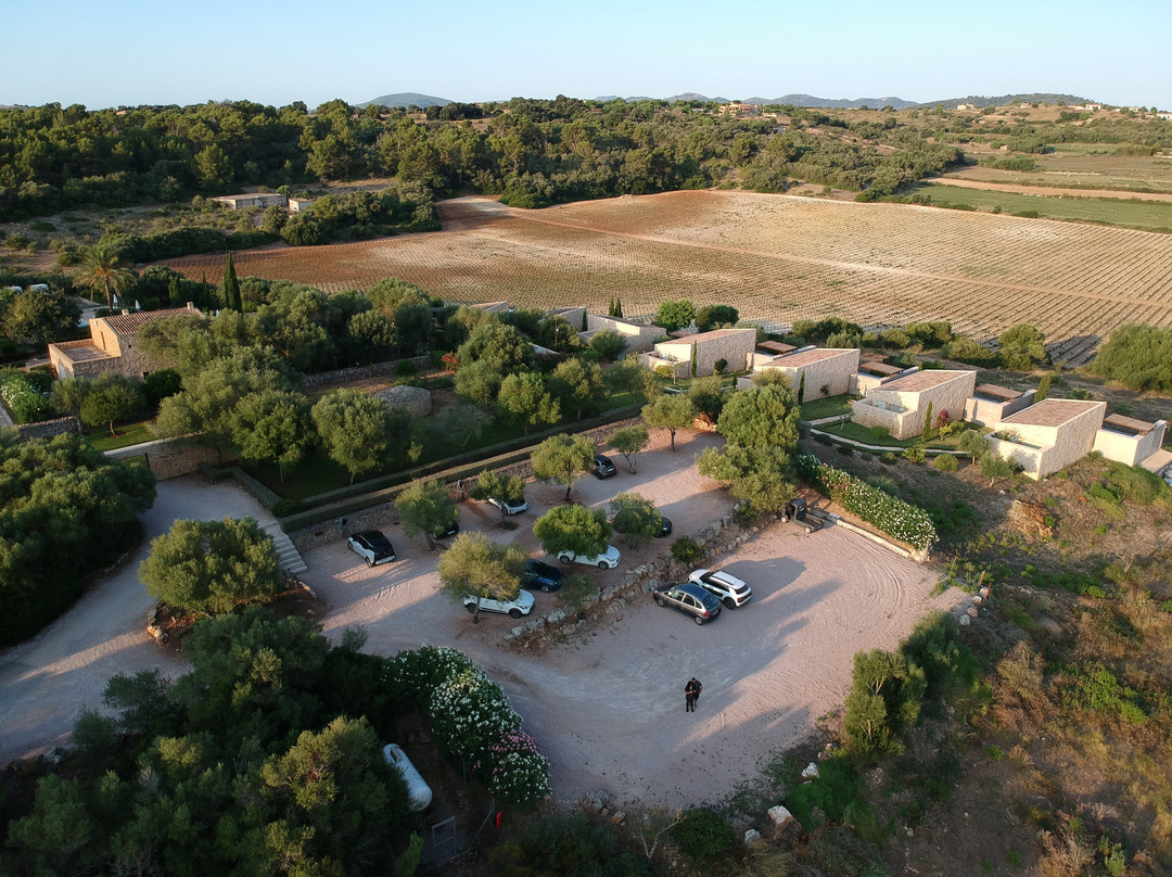 Son Penya Petit Hotel & Spa主图