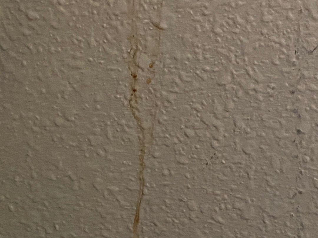 卡农城速 8 酒店主图