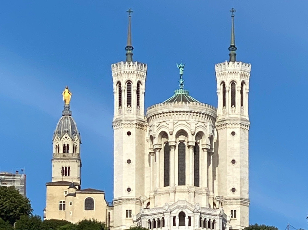 Cap Confluent Location De Bateaux à Lyon-里昂必去景点