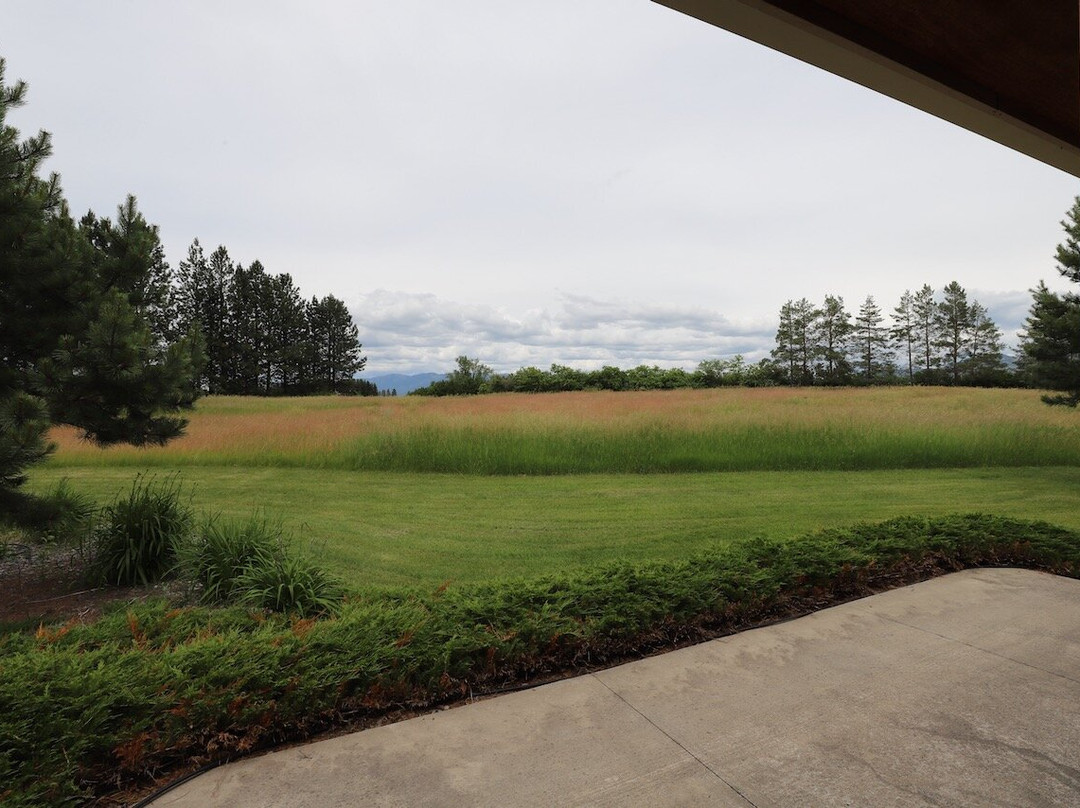 Bad Rock Bed and Breakfast主图