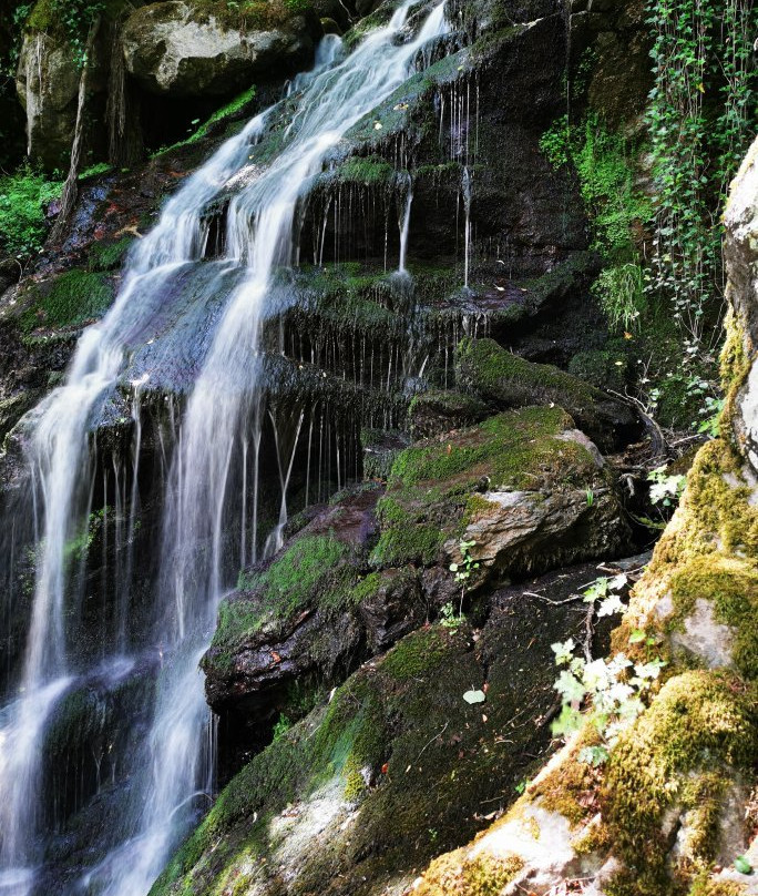 Wieladingen-Rickenbach必去景点