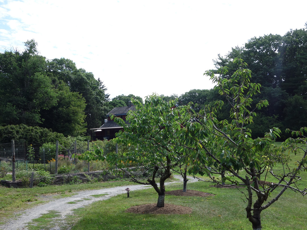 Buttermilk Falls Inn & Spa主图