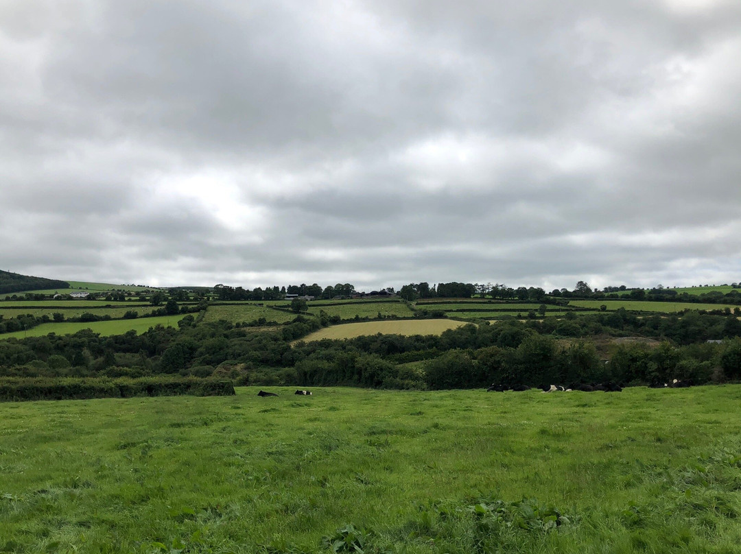 Knockroe Passage Tomb-基尔肯尼必去景点