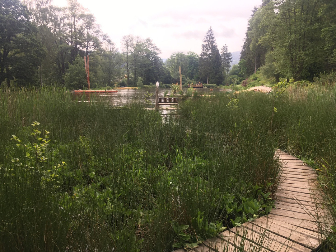 Botanical Garden Bečov nad Teplou-Becov nad Teplou必去景点