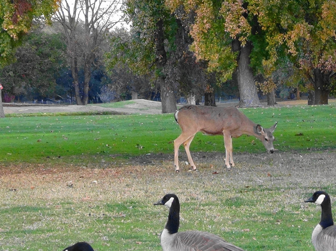Ancil Hoffman Park-Carmichael必去景点