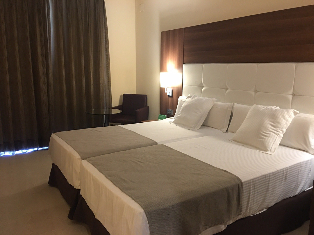 Hotel Spa Jardines de Lorca主图