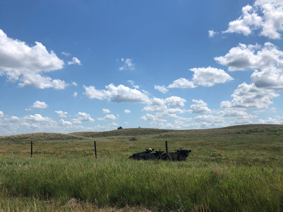 Calamus Reservoir State Recreation Area-Burwell必去景点