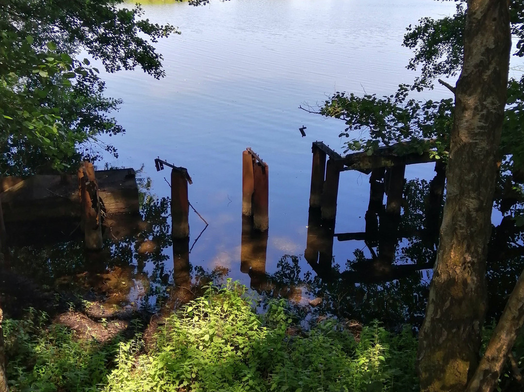 Sevenoaks Wildlife Reserve-Sevenoaks必去景点