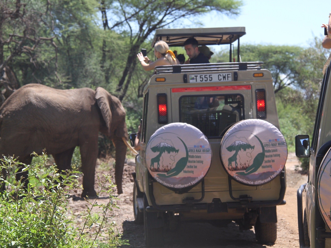 Africa Magic Holidays & Tours-阿鲁沙必去景点