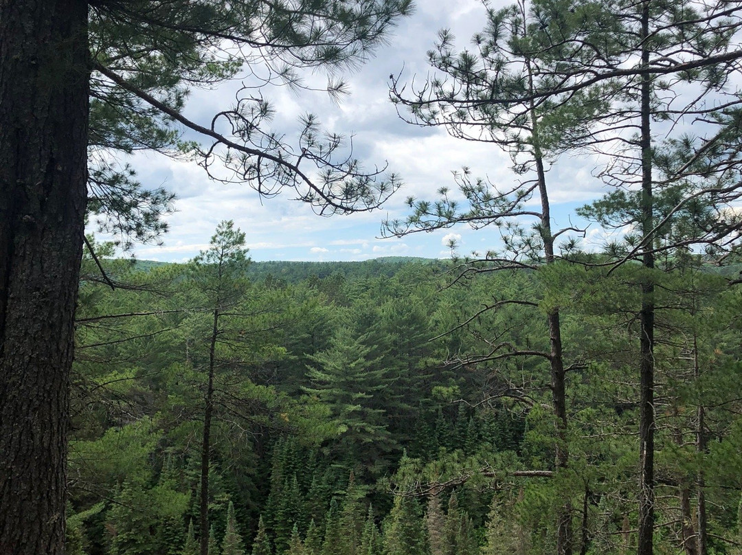 Two Rivers Trail-阿冈昆公园必去景点