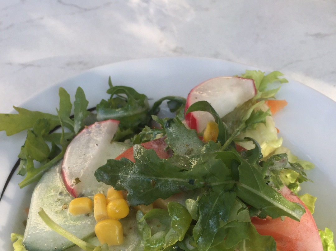 Nersingen餐馆和美食-Gasthof zur Traube