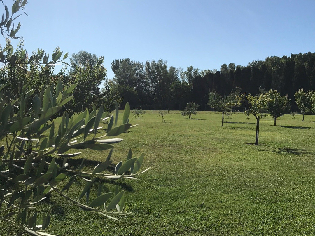 Le Mas des Chutes主图