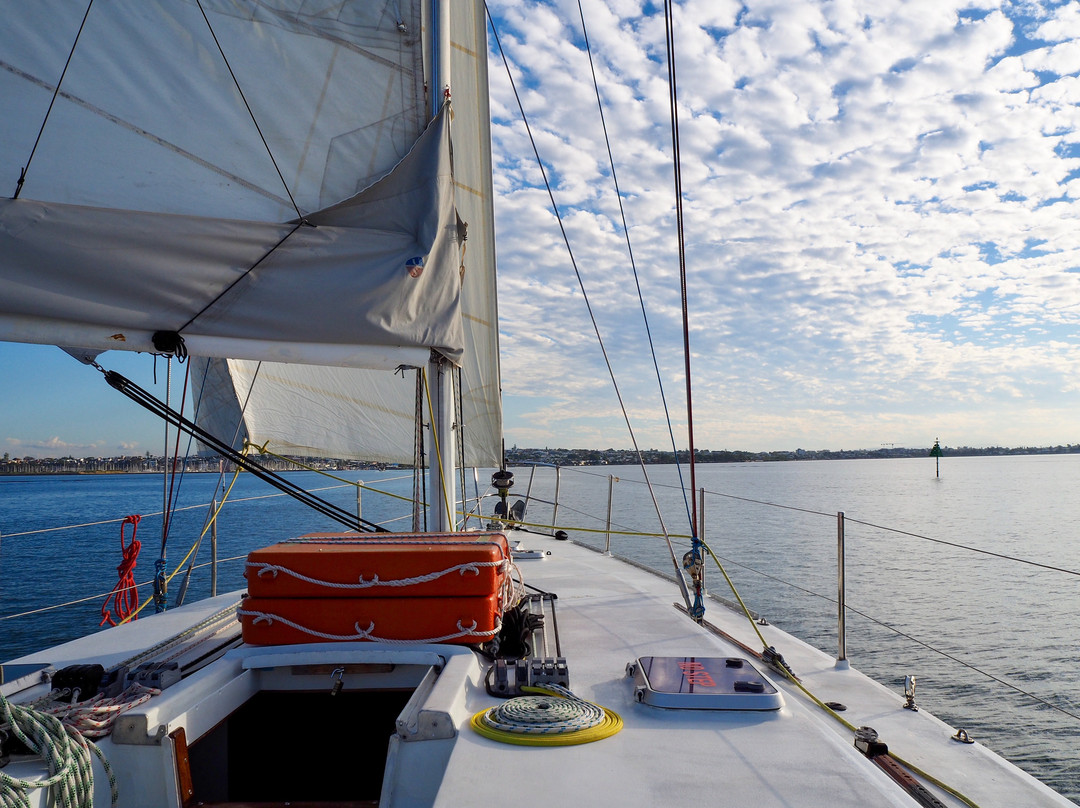 Second Wind Sailing-布里斯班必去景点