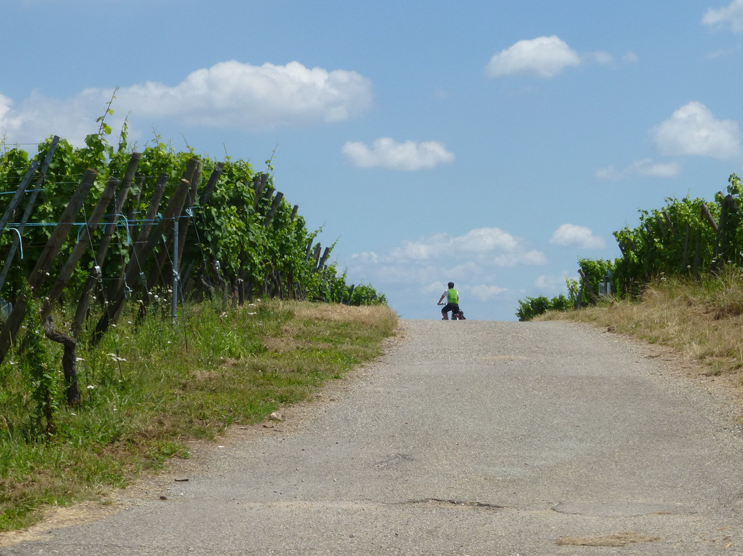 Active Scandinavia-斯德哥尔摩必去景点