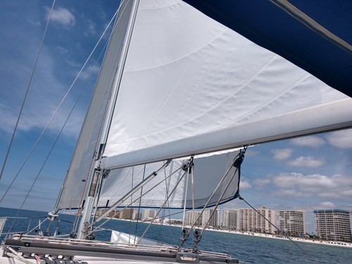 Back Bay Sailing Adventures-橙色海湾必去景点