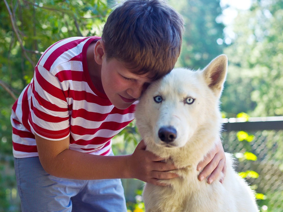 Husky Park Utulik景点图片