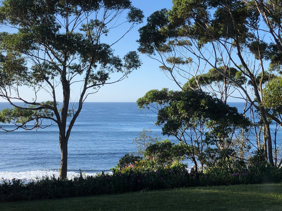 Mollymook Beach Waterfront主图