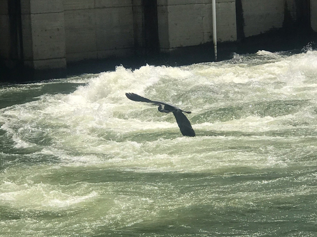 Douglas Dam-Dandridge必去景点