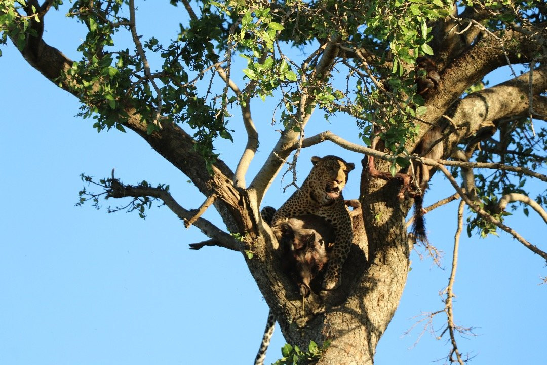 Exposed Africa-莫西必去景点