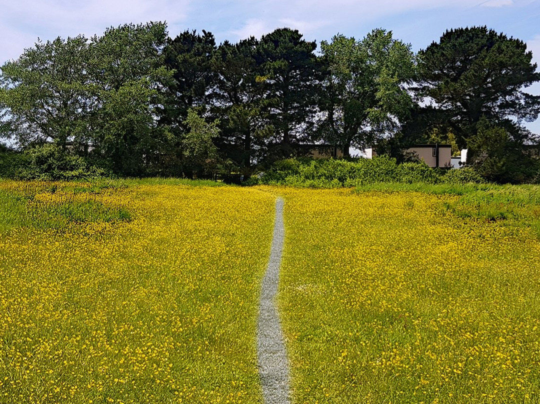 Thorney Island景点图片