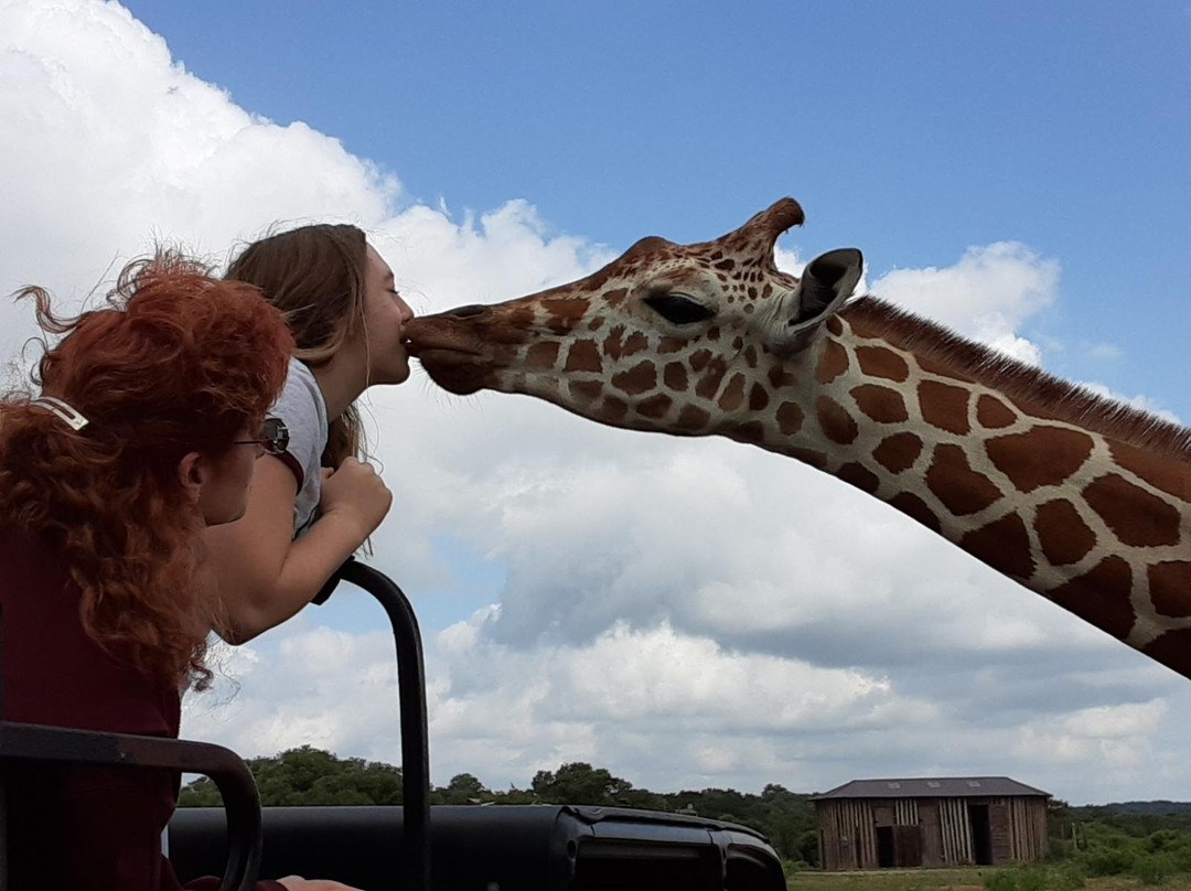 Y.O. Ranch Headquarters-Mountain Home必去景点