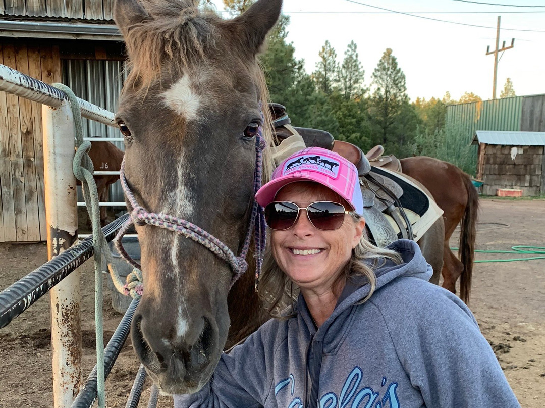 Porter Mountain Stables-Pinetop-Lakeside必去景点