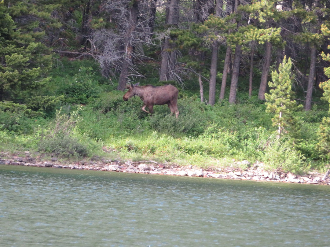 Swiftcurrent Falls-冰河国家公园必去景点