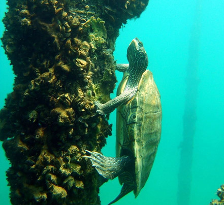 Gilboa Quarry-Ottawa必去景点