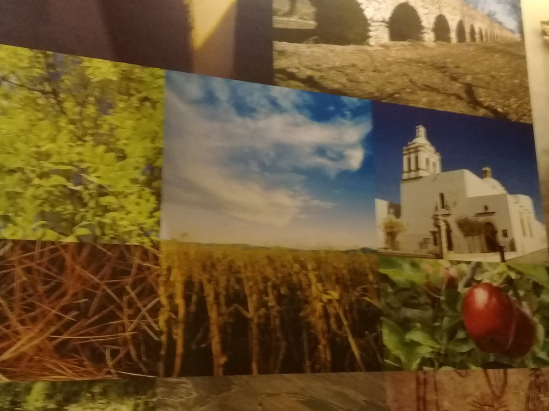 Museo Casa Chihuahua-奇瓦瓦州必去景点