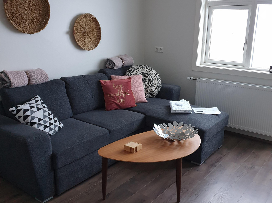 Breidamyri Farm Apartments主图