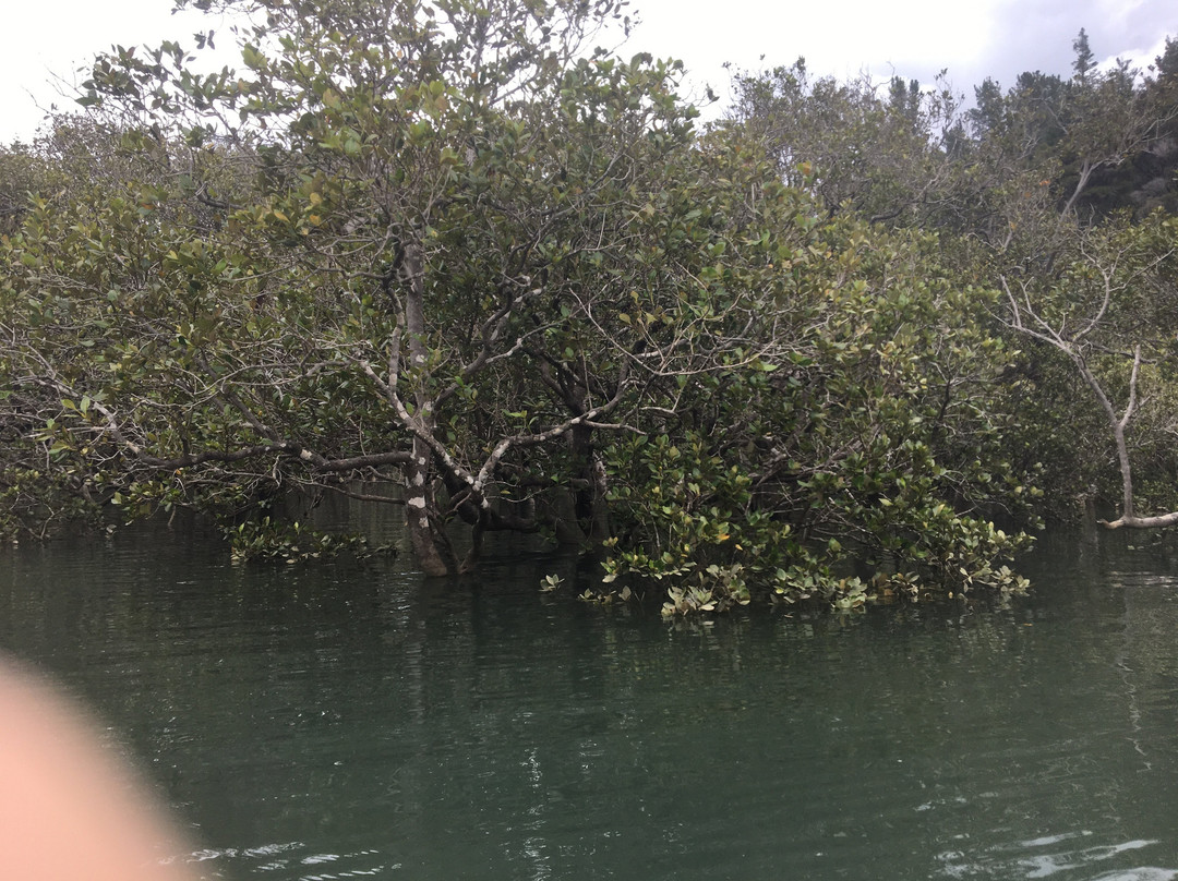 Bay of Islands Kayaking-派希亚必去景点